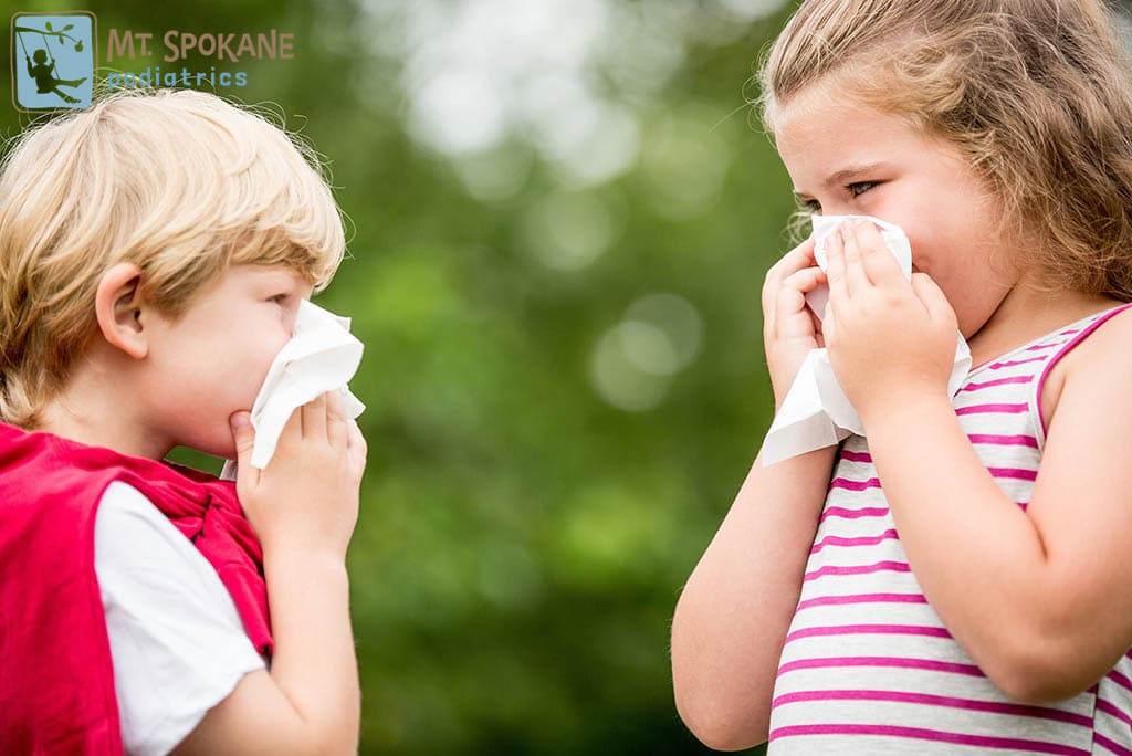 Spokane seasonal allergies in kids